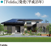 「Felidia」発売（平成25年）
